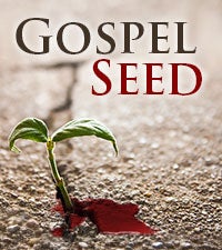 Gospel Seed