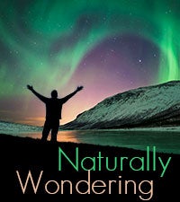 Naturally Wondering