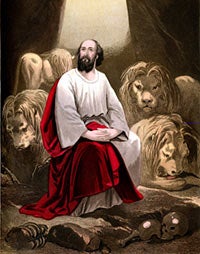 Surviving a Modern Lion’s Den