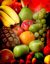 2009: A Phenomenal Multiplying of Fruit