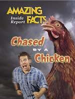 Chased by a Chicken