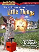 The Power of Little Things