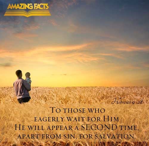 Hebrews 9:28 - This Scripture Picture is provided courtesy of Amazing Facts. Visit us at www.amazingfacts.org