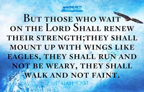 Isaiah 40:31 - This Scripture Picture is provided courtesy of Amazing Facts. Visit us at www.amazingfacts.org