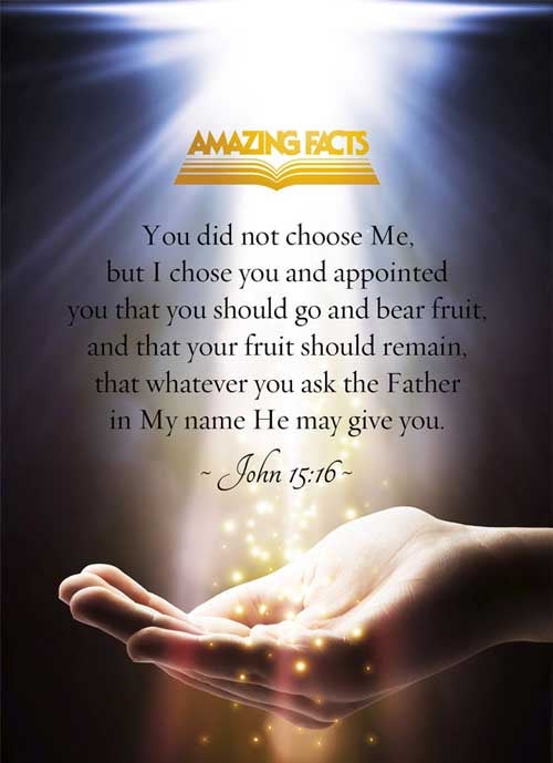 John 15:16 - This Scripture Picture is provided courtesy of Amazing Facts.  Visit us at www.amazingfacts.org