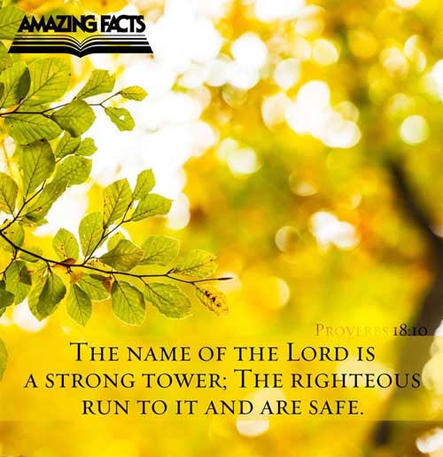 Proverbs 18:10 - This Scripture Picture is provided courtesy of Amazing Facts.  Visit us at www.amazingfacts.org