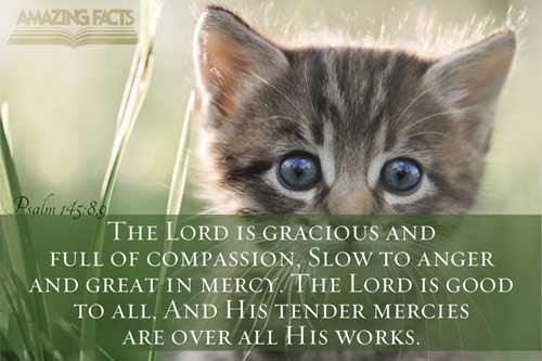 Psalms 145:8-9 - This Scripture Picture is provided courtesy of Amazing Facts. Visit us at www.amazingfacts.org