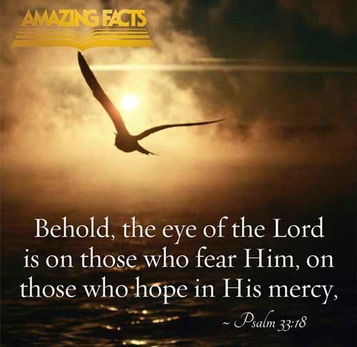 Psalms 33:18 - This Scripture Picture is provided courtesy of Amazing Facts.  Visit us at www.amazingfacts.org