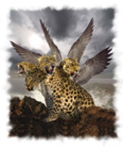 Leoparden i Daniel 7 representerer det greske verdensriket.