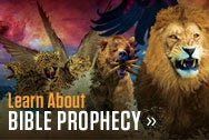 Find Prophecy Seminars in your area
