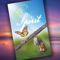 Life in the Spirit - Paperback or Digital PDF