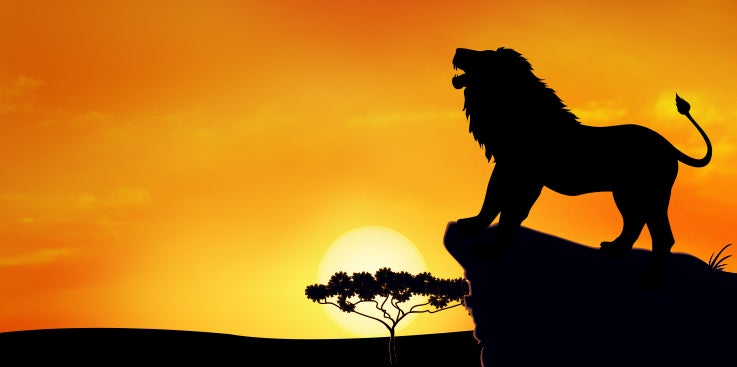 Unleashing the Lion of Truth | Letter From Pastor Doug | Amazing Facts