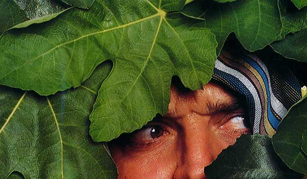 Fig Leaves And Pharisees Inside Report Magazine Amazing Facts The adam & eve retail stores. fig leaves and pharisees inside