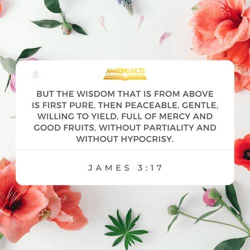 But the wisdom that is from above is first pure, then peaceable, gentle, and easy to be intreated, full of mercy and good fruits, without partiality, and without hypocrisy. James 3:17