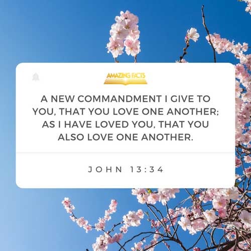 A new commandment I give unto you, That ye love one another; as I have loved you, that ye also love one another. John 13:34