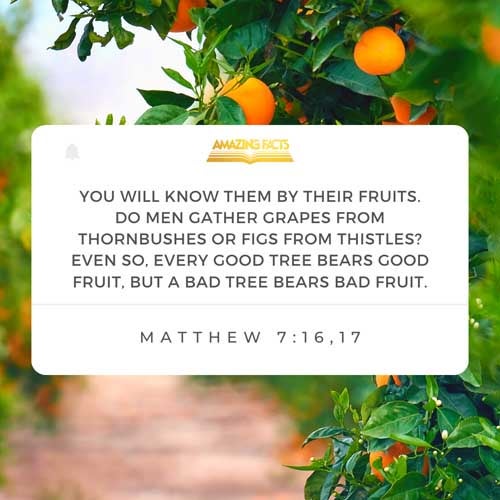 Ye shall know them by their fruits. Do men gather grapes of thorns, or figs of thistles?  Even so every good tree bringeth forth good fruit; but a corrupt tree bringeth forth evil fruit. Matthew 7:16-17