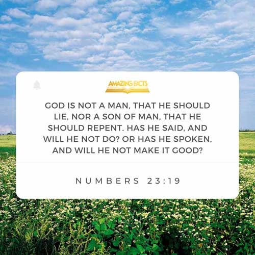 God is not a man, that he should lie; neither the son of man, that he should repent: hath he said, and shall he not do it? or hath he spoken, and shall he not make it good? Numbers 23:19