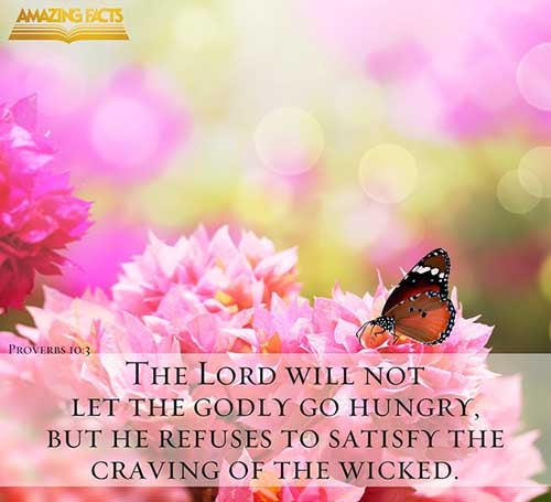 Proverbs 10:3