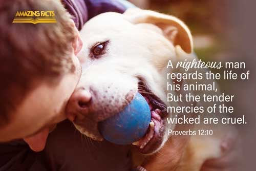 Proverbs 12:10