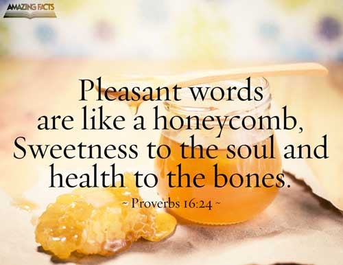 Proverbs 16 24 Scripture Pictures By Verse Amazing Facts