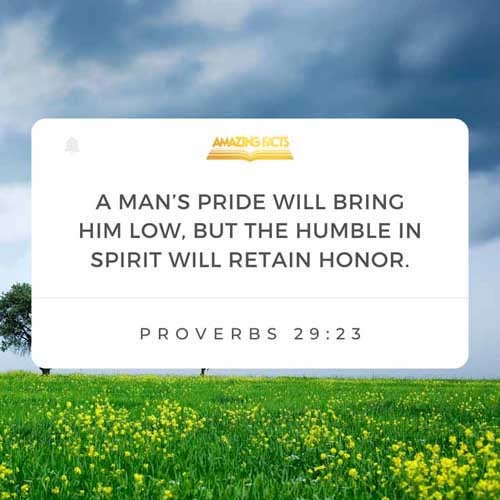 A man's pride shall bring him low: but honour shall uphold the humble in spirit. Proverbs 29:23