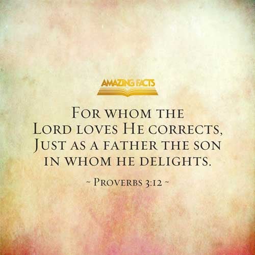 Proverbs 3:12