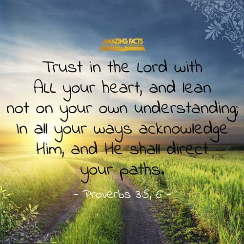 Image result for proverbs 3 5-6