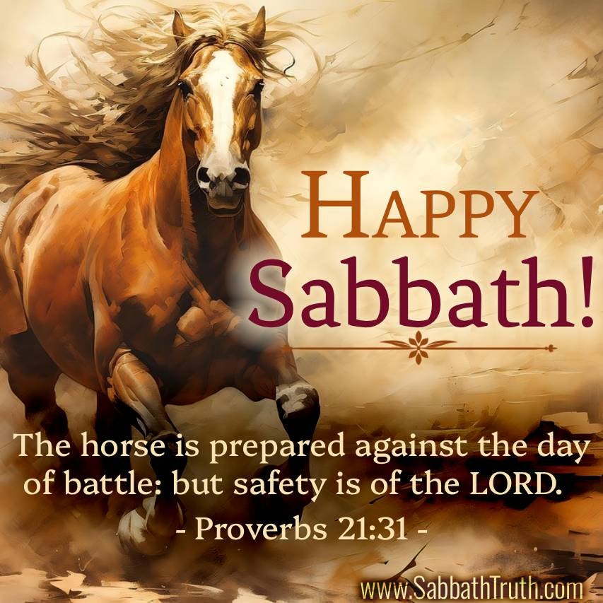 The horse is prepared against the day of battle: but safety is of the LORD. Proverbs 21:31
