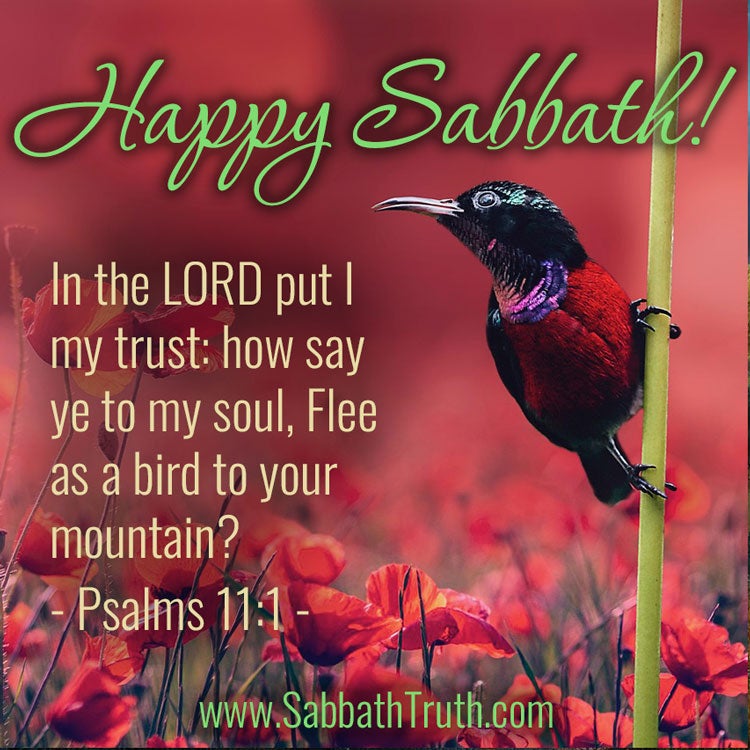 Psalms 11:1