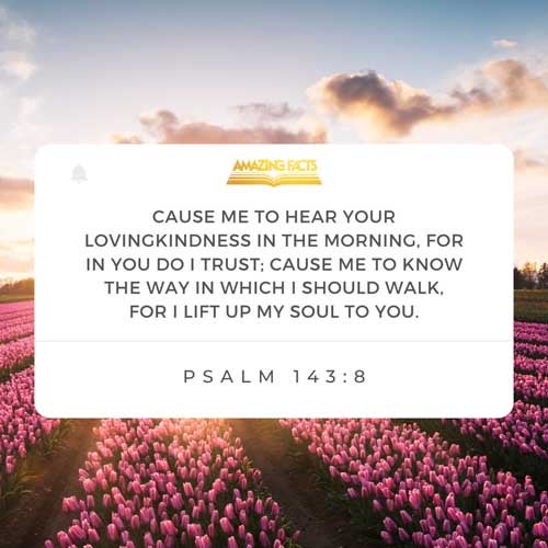 Cause me to hear thy lovingkindness in the morning; for in thee do I trust: cause me to know the way wherein I should walk; for I lift up my soul unto thee. Psalms 143:8