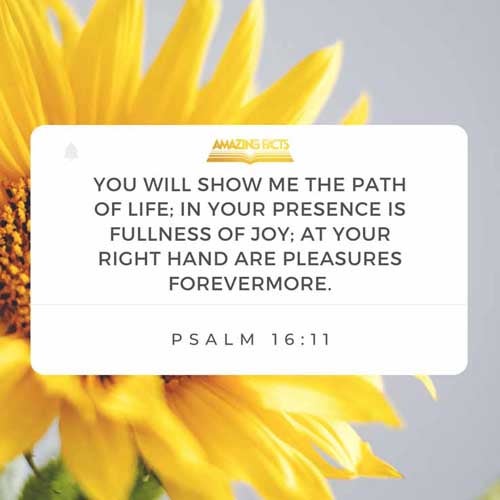 Thou wilt shew me the path of life: in thy presence is fulness of joy; at thy right hand there are pleasures for evermore. Psalms 16:11