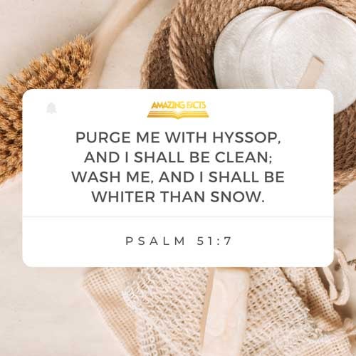 Purge me with hyssop, and I shall be clean: wash me, and I shall be whiter than snow. Psalms 51:7