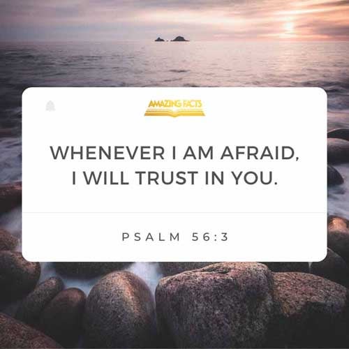 What time I am afraid, I will trust in thee. Psalms 56:3