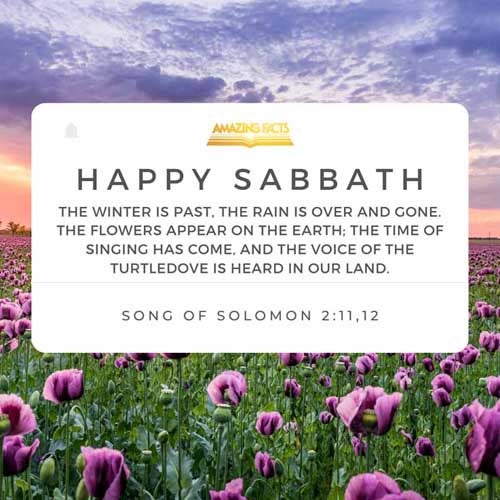 For, lo, the winter is past, the rain is over and gone;  The flowers appear on the earth; the time of the singing of birds is come, and the voice of the turtle is heard in our land; Song of Solomon 2:11-12