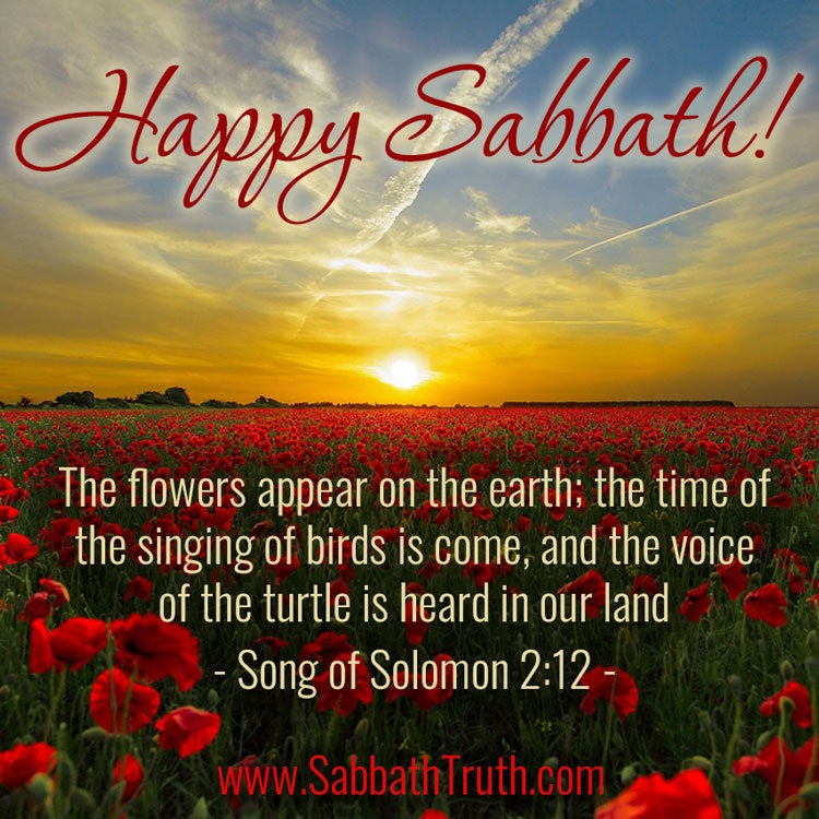 The flowers appear on the earth; the time of the singing of birds is come, and the voice of the turtle is heard in our land; 
Song of Solomon 2:12