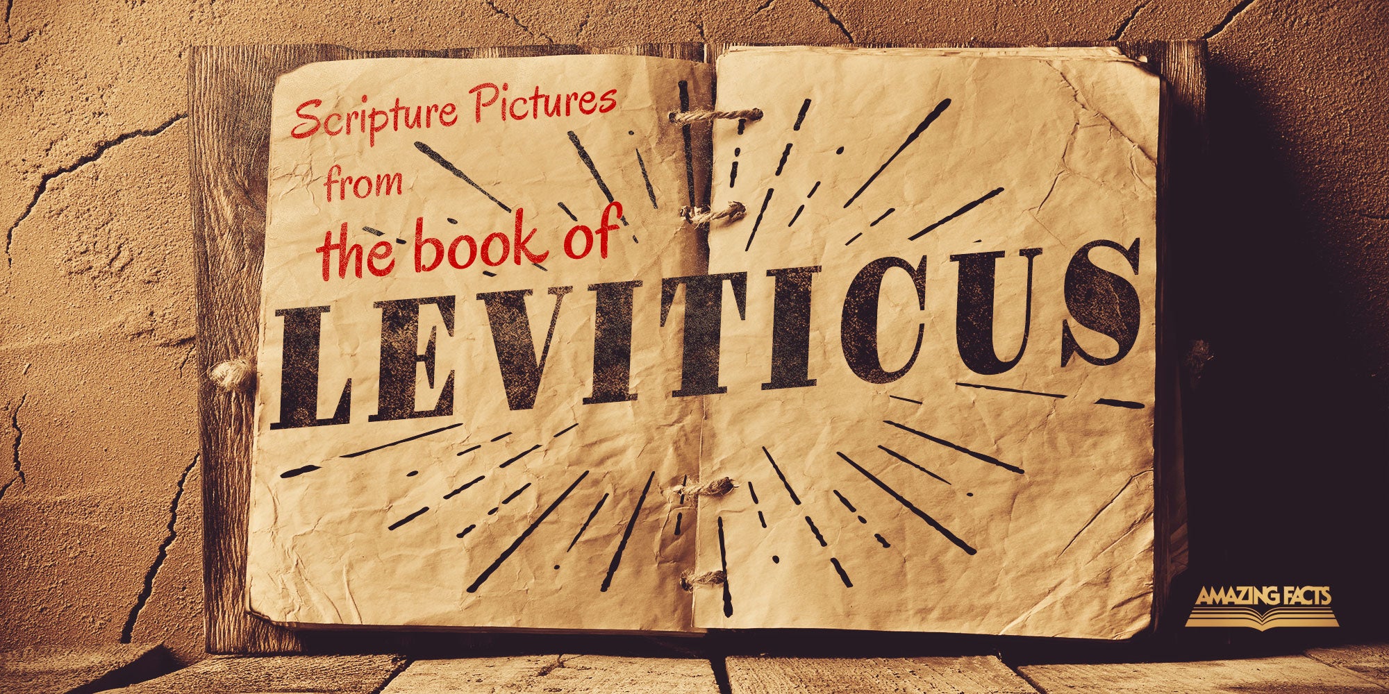 overview book of leviticus