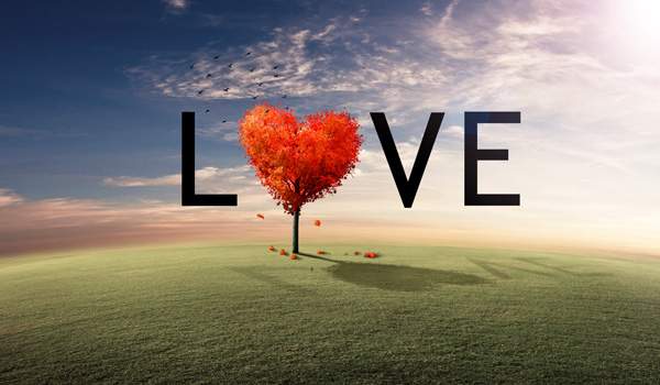 Bible Verses About Love