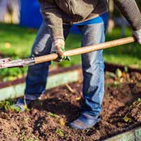 Garden Your Way to Better Health  
