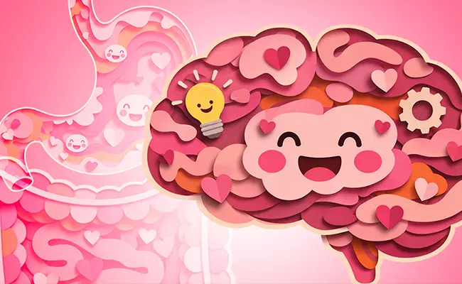 How Gut Health Can Benefit Your Brain