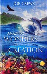 Asombrosas Maravillas de la Creación