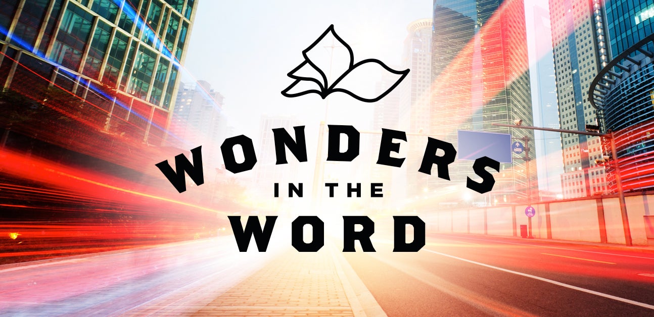 Wonders In The Word