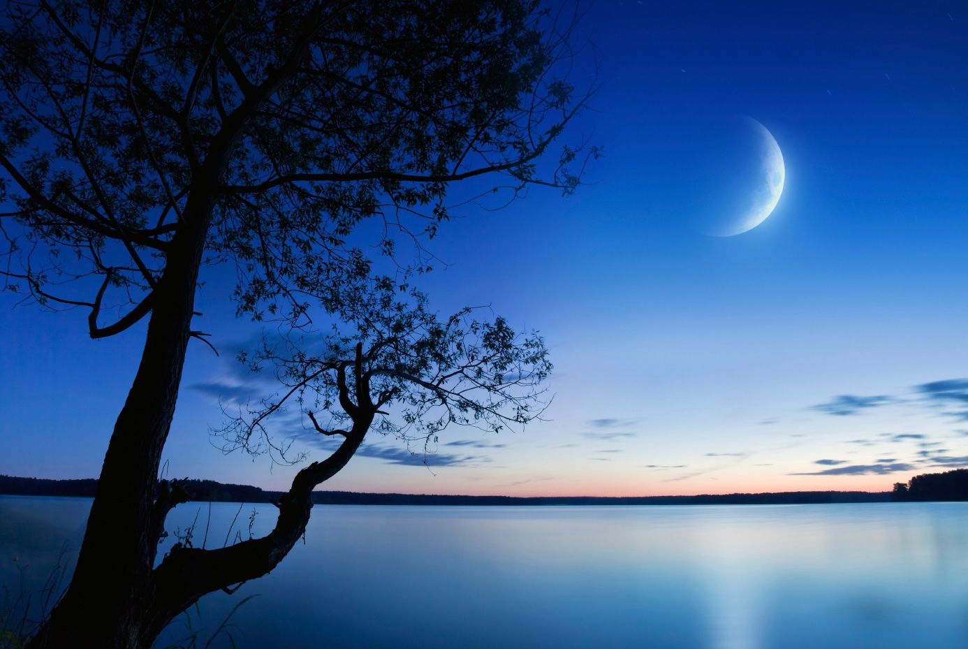 Can you explain the New Moon's and Sabbath?
