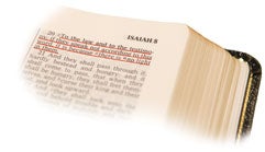 Propheten müssen anhand der Heiligen Schrift geprüft werden.
