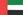 UAE flag