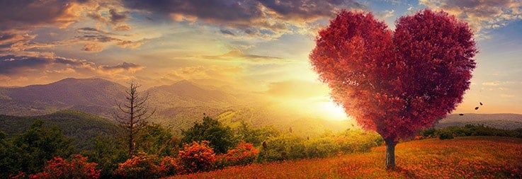 Hallowed by His Presence