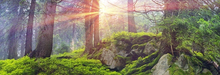 Tied to All the Others