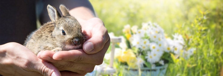 Acknowledging the Creator