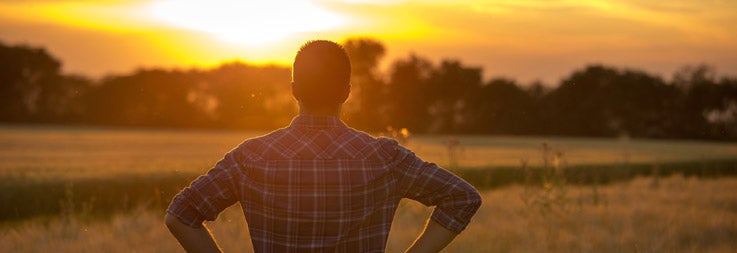 Past, Present, and Future