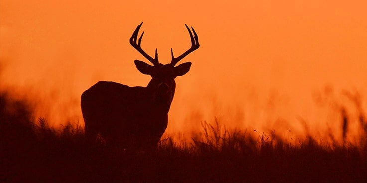 Sunday-Hunting Lawsuit Exposes Christian Worship Tradition 